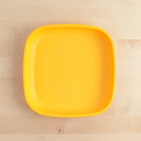 Thumbnail for Re-Play Flat Plate - Various