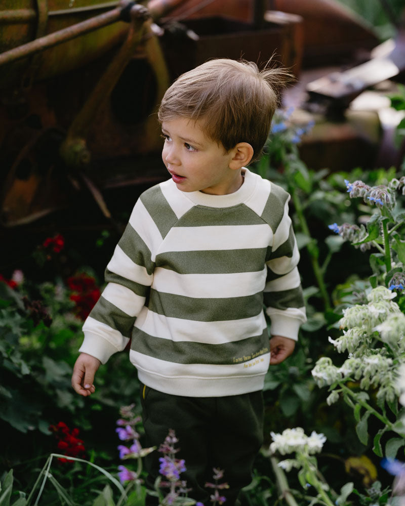 Fox & Finch - High Flyer Stripe Sweatshirt