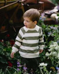 Thumbnail for Fox & Finch - High Flyer Stripe Sweatshirt
