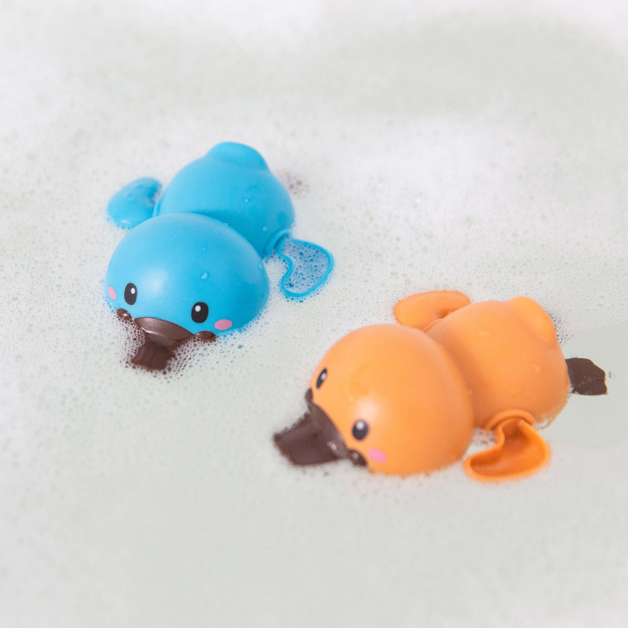 Tiger Tribe - Bath Racers - Platypuses
