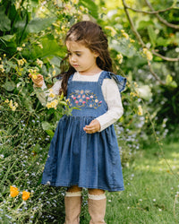 Thumbnail for Fox & Finch - Wild Horses Denim Dress