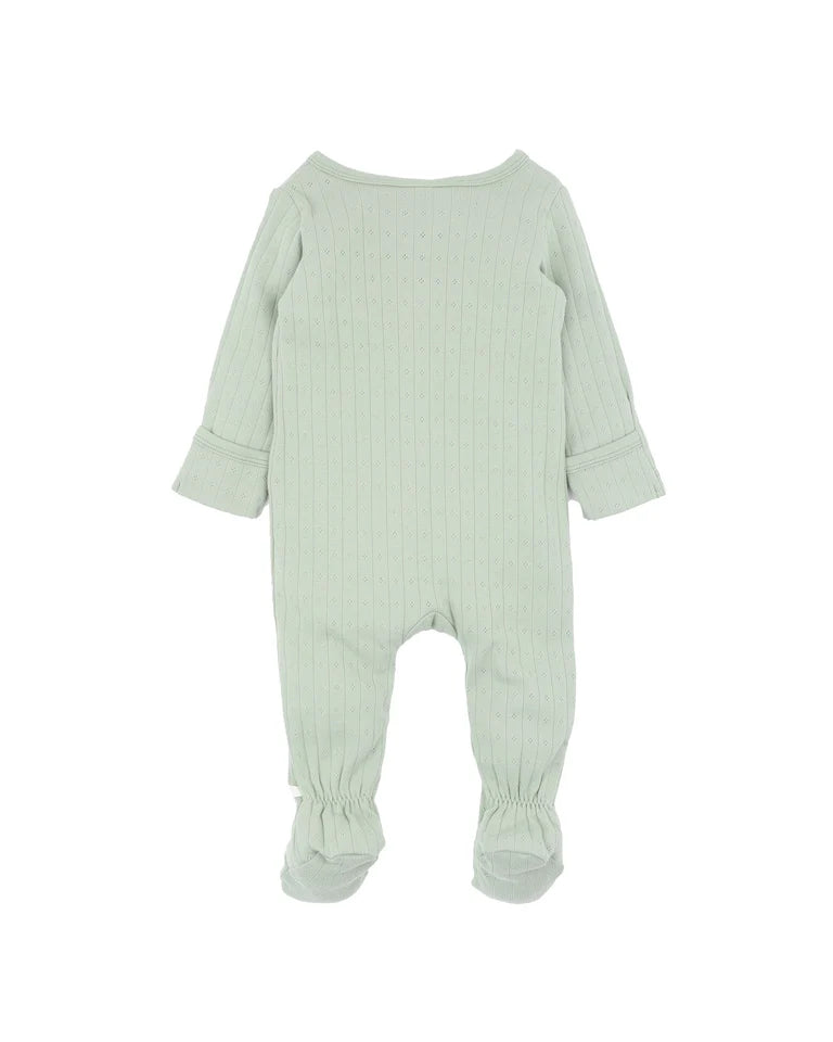 Bebe - Sage Organic Pointelle LS Zipsuit